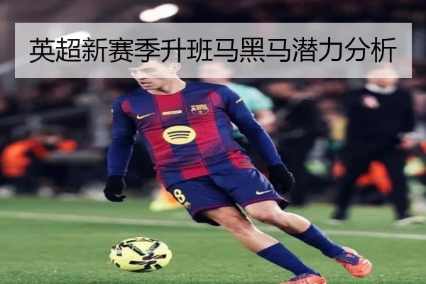 英超新赛季升班马黑马潜力分析