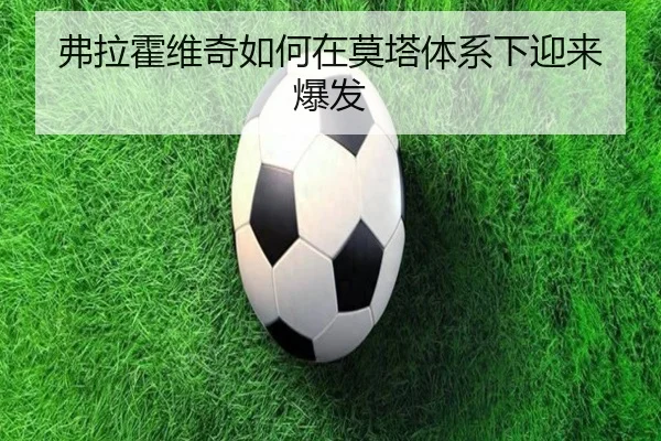 弗拉霍维奇如何在莫塔体系下迎来爆发